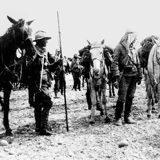 7 August 1915 light horsemen Turkish cavalry qld
