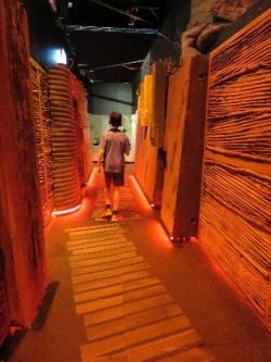 trench walk exhibit