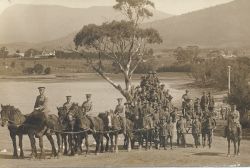 Soldiers and horses