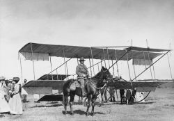 horse and plane