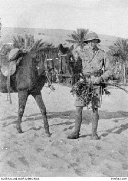 Hudson Fysh horse
