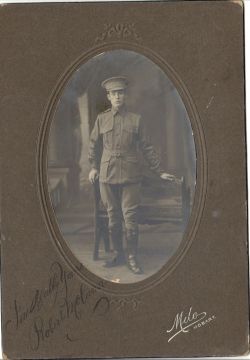 Robert McCann DCM