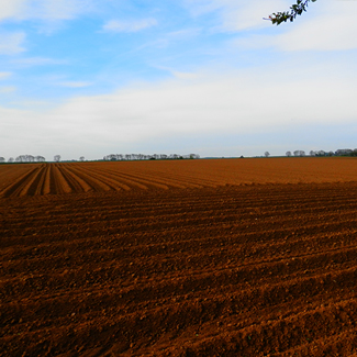 3-17 May 1917 Bullecourt Battlefield RHill