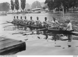 Rowers AWM D00800.jpg